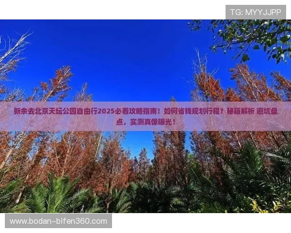 体育博彩网站避坑指南数字高频玩法防骗秘诀
